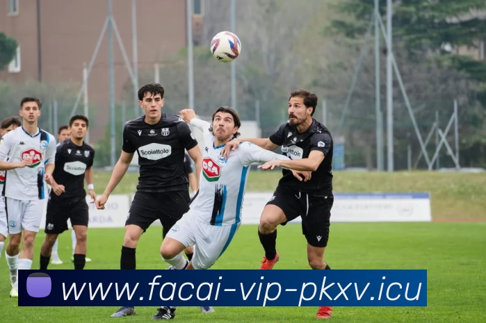 MK体育注册服务体系