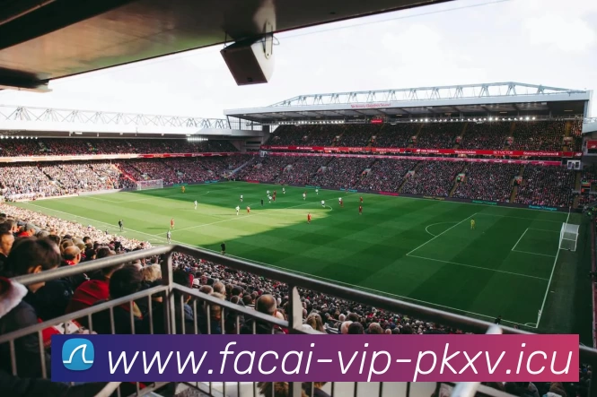 MK体育注册APP 体育赛事宣传图